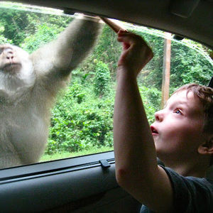 Meet your Posher, Liam